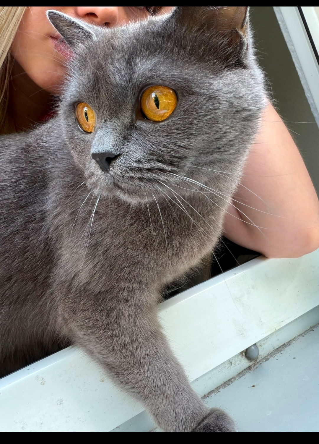Mia