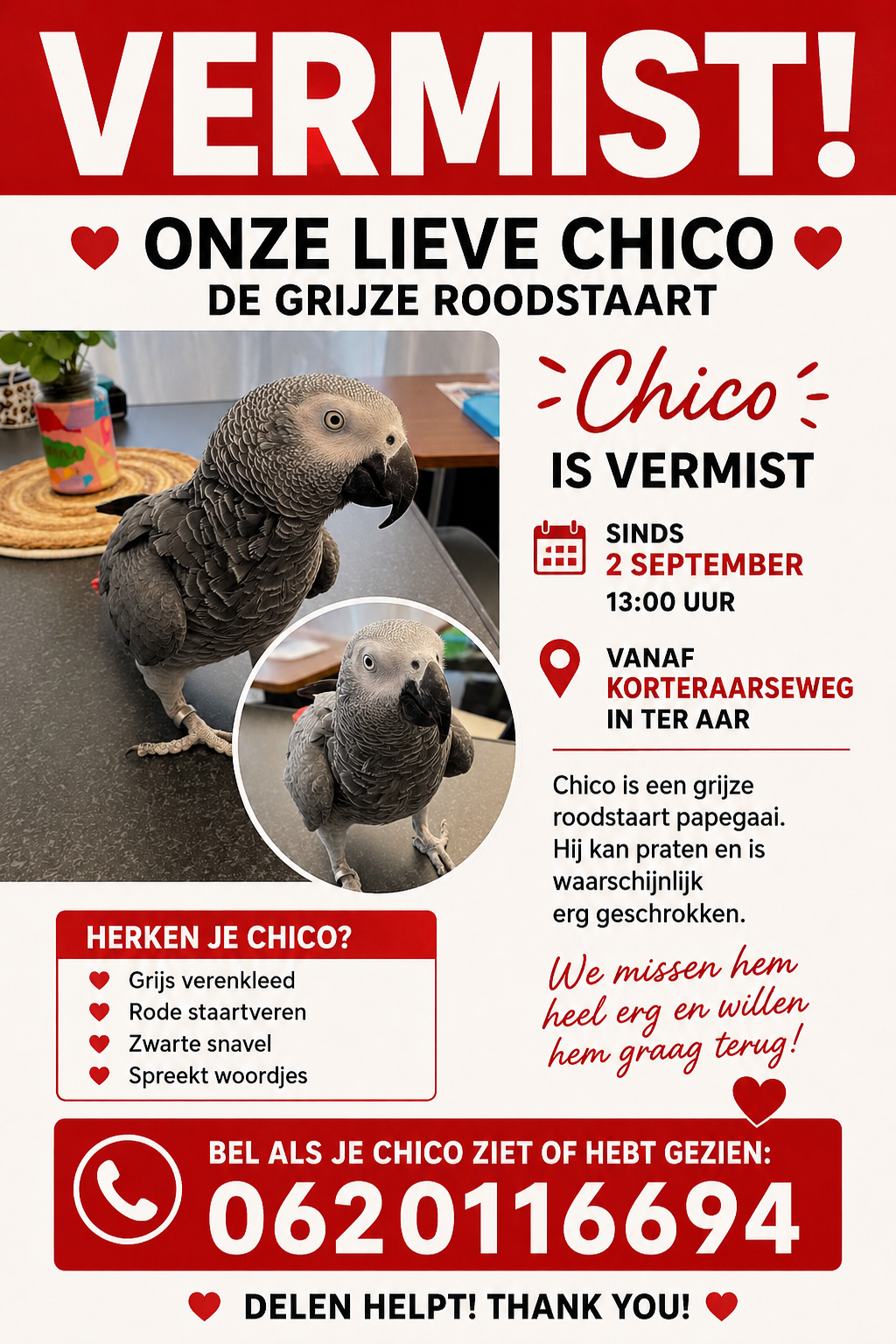 Chico