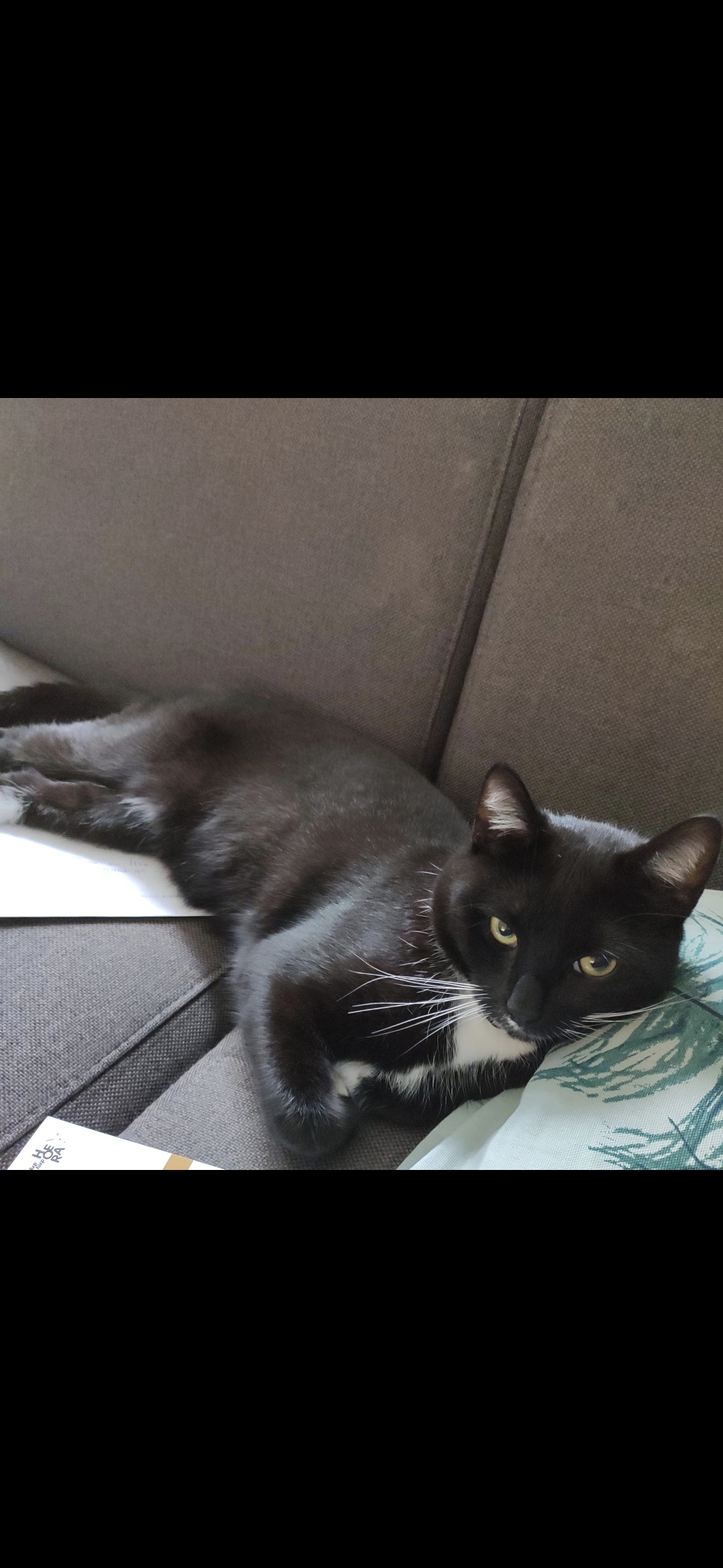 Binkie