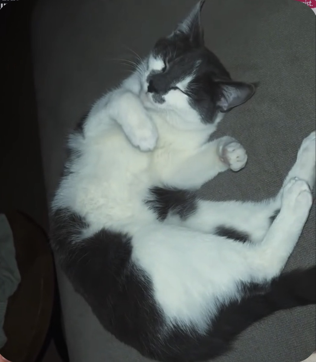 Bella