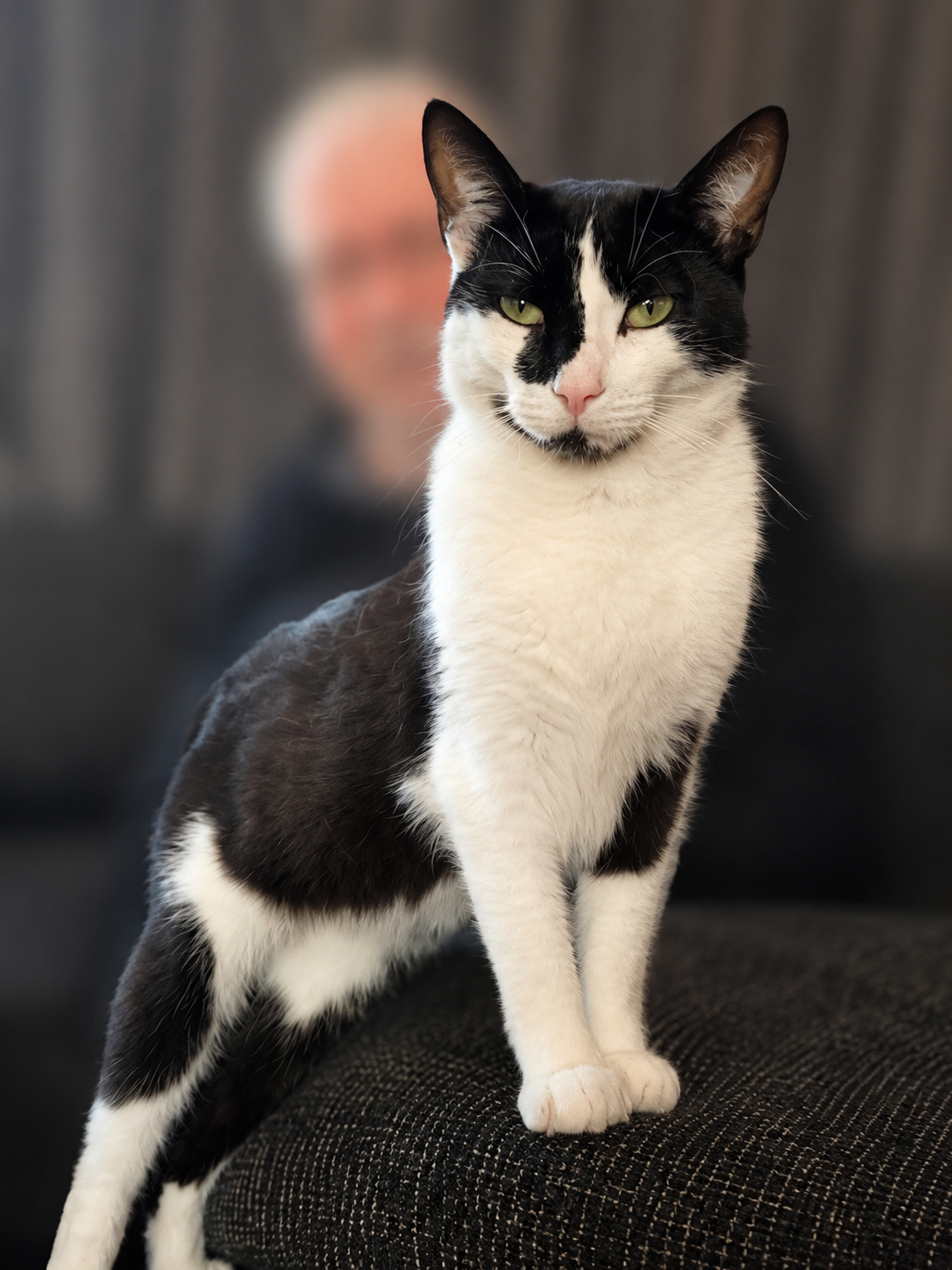 Tom