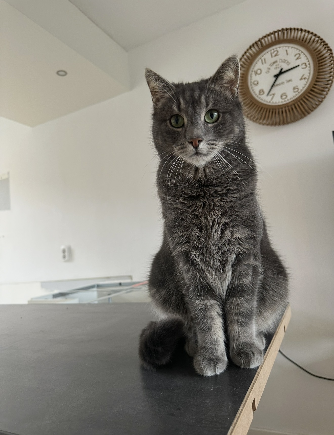 Pip