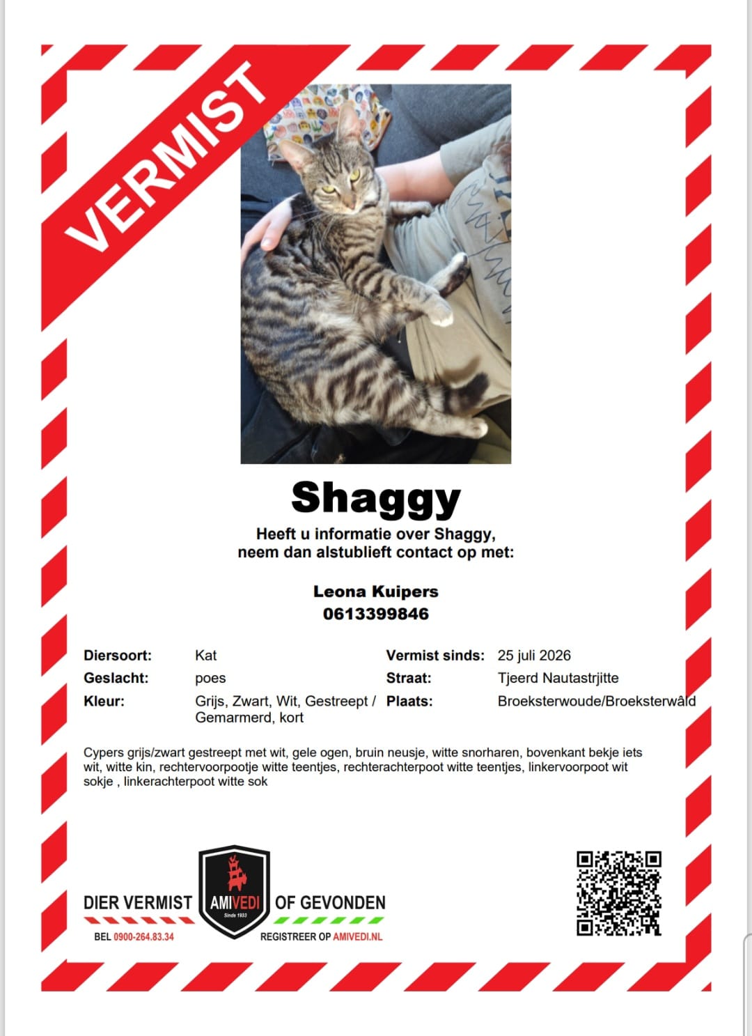 Shaggy