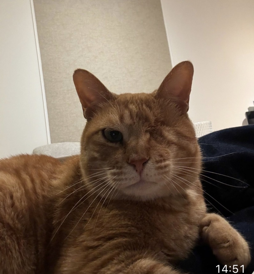 Ollie