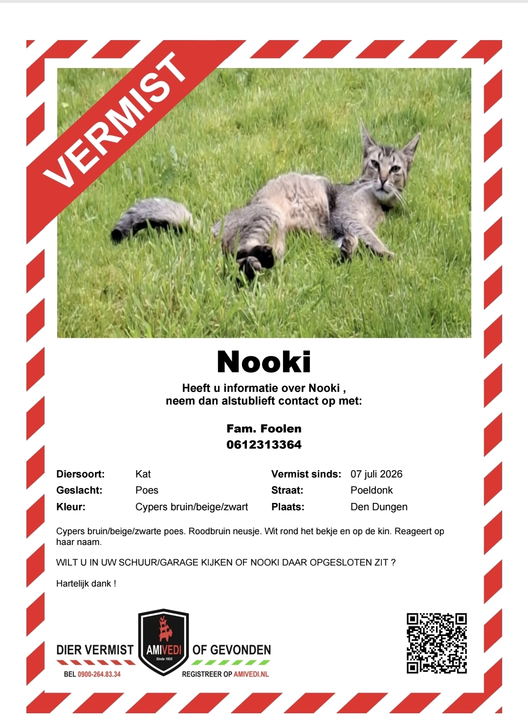 Nooki