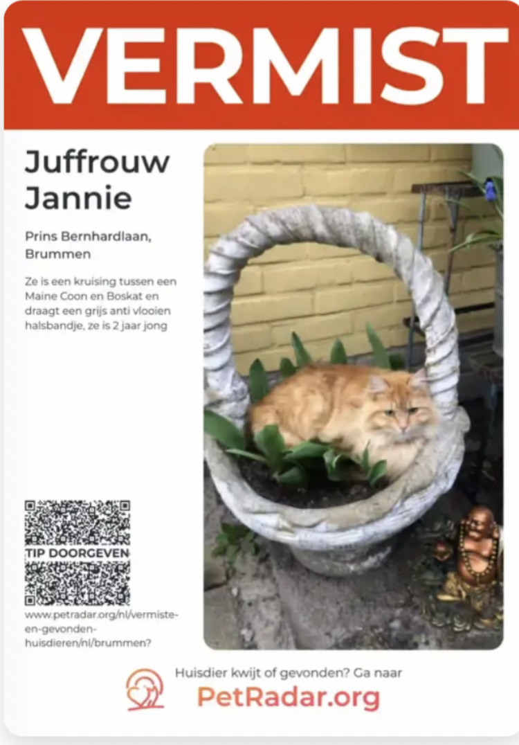 Juffrouw Jannie