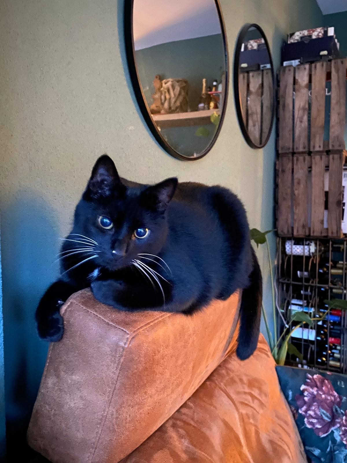 Kiki