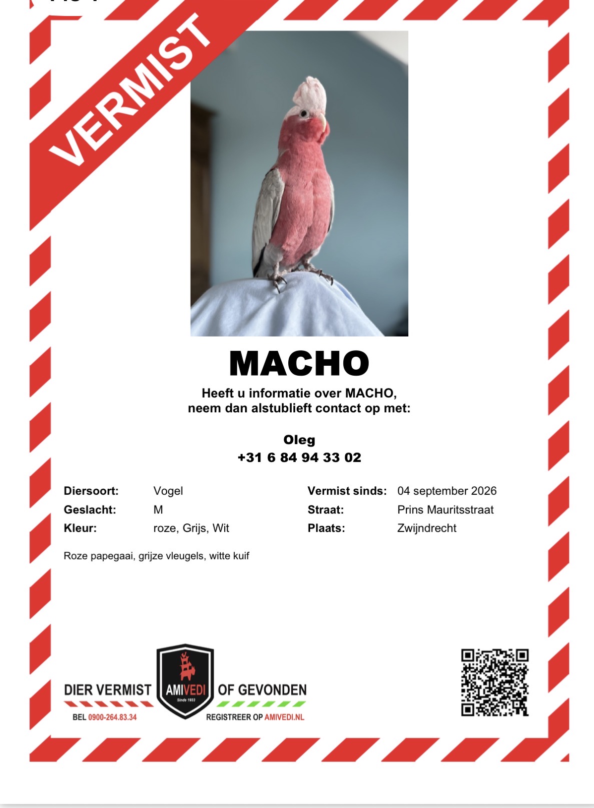 Macho